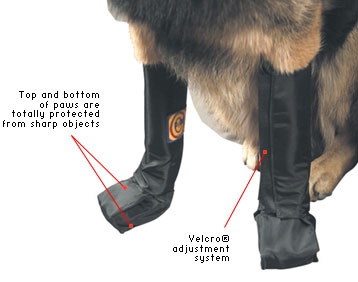 K-9 Search & Rescue Boots